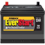 Everstart Maxx